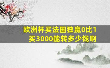 欧洲杯买法国独赢0比1买3000能转多少钱啊