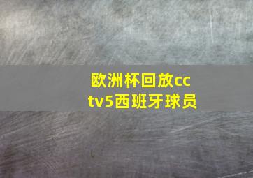 欧洲杯回放cctv5西班牙球员