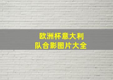 欧洲杯意大利队合影图片大全