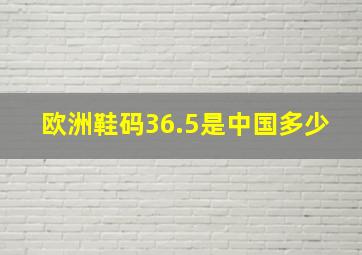 欧洲鞋码36.5是中国多少