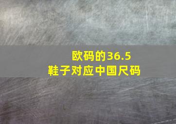 欧码的36.5鞋子对应中国尺码