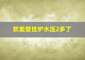 欧能壁挂炉水压2多了