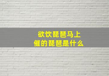 欲饮琵琶马上催的琵琶是什么