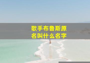 歌手布鲁斯原名叫什么名字