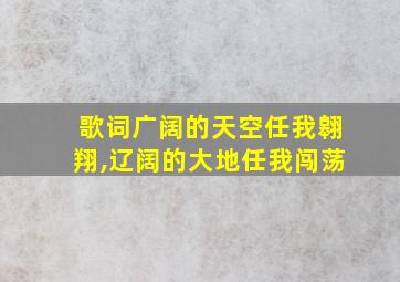 歌词广阔的天空任我翱翔,辽阔的大地任我闯荡