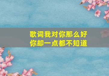 歌词我对你那么好你却一点都不知道