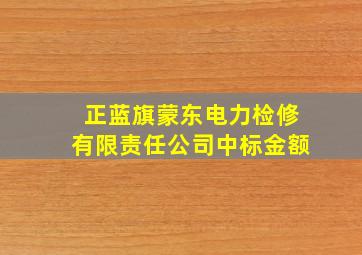 正蓝旗蒙东电力检修有限责任公司中标金额