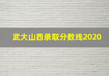 武大山西录取分数线2020