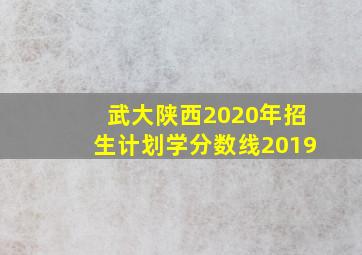 武大陕西2020年招生计划学分数线2019