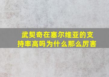 武契奇在塞尔维亚的支持率高吗为什么那么厉害