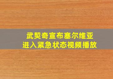 武契奇宣布塞尔维亚进入紧急状态视频播放