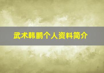 武术韩鹏个人资料简介