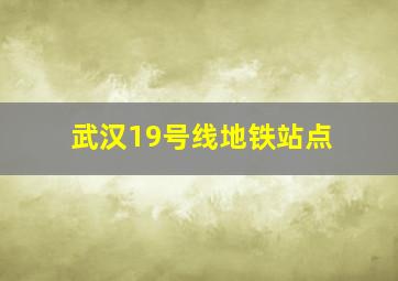 武汉19号线地铁站点