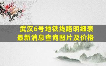 武汉6号地铁线路明细表最新消息查询图片及价格