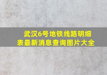 武汉6号地铁线路明细表最新消息查询图片大全