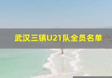 武汉三镇U21队全员名单