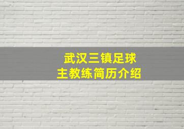 武汉三镇足球主教练简历介绍