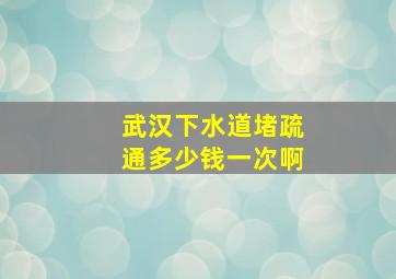 武汉下水道堵疏通多少钱一次啊