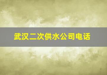 武汉二次供水公司电话