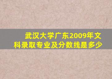 武汉大学广东2009年文科录取专业及分数线是多少