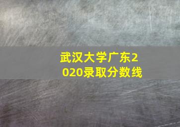 武汉大学广东2020录取分数线