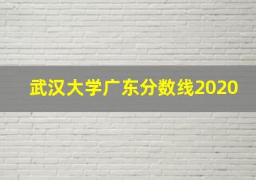 武汉大学广东分数线2020