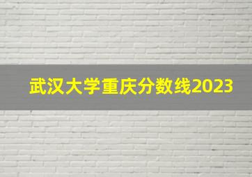 武汉大学重庆分数线2023