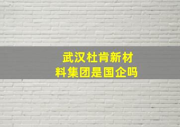 武汉杜肯新材料集团是国企吗