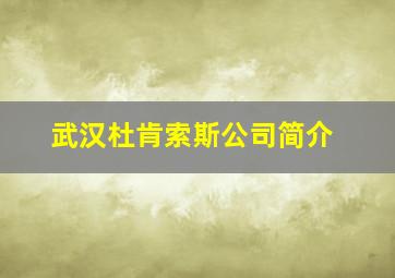 武汉杜肯索斯公司简介