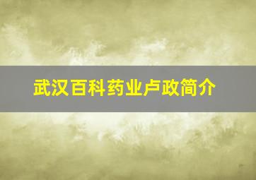 武汉百科药业卢政简介