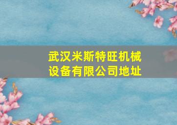 武汉米斯特旺机械设备有限公司地址