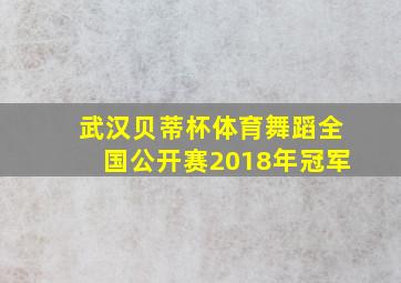 武汉贝蒂杯体育舞蹈全国公开赛2018年冠军