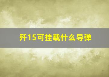 歼15可挂载什么导弹