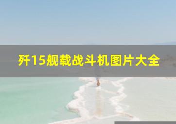 歼15舰载战斗机图片大全