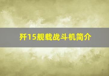 歼15舰载战斗机简介