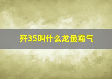 歼35叫什么龙最霸气