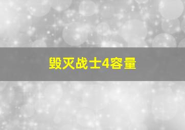 毁灭战士4容量