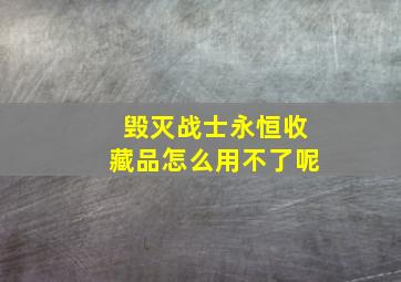 毁灭战士永恒收藏品怎么用不了呢