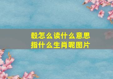 毂怎么读什么意思指什么生肖呢图片