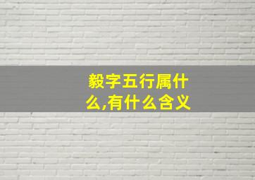 毅字五行属什么,有什么含义