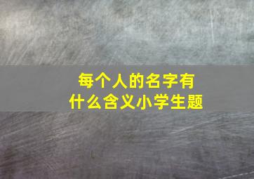 每个人的名字有什么含义小学生题