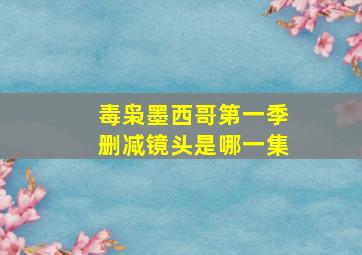 毒枭墨西哥第一季删减镜头是哪一集