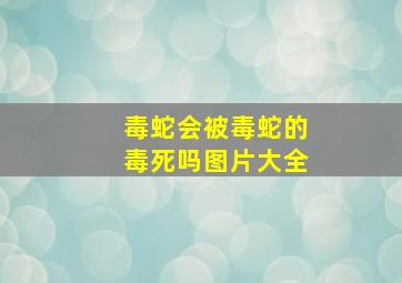 毒蛇会被毒蛇的毒死吗图片大全