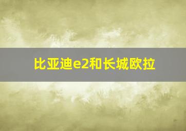 比亚迪e2和长城欧拉