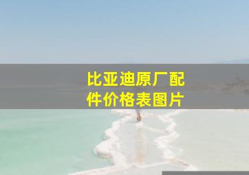 比亚迪原厂配件价格表图片