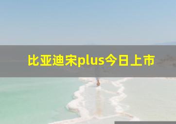 比亚迪宋plus今日上市