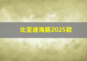 比亚迪海豚2025款