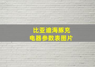 比亚迪海豚充电器参数表图片