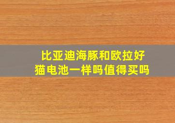 比亚迪海豚和欧拉好猫电池一样吗值得买吗