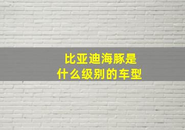 比亚迪海豚是什么级别的车型